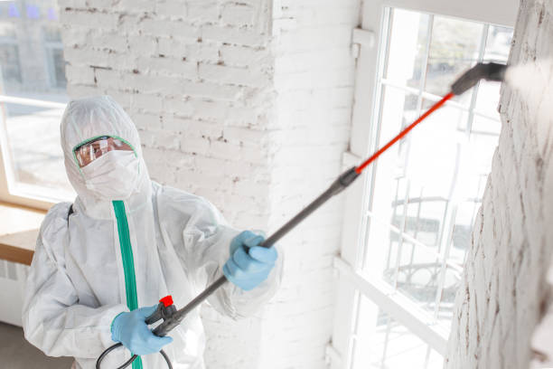 Trusted Air Force Academy, CO Mold Removal Experts