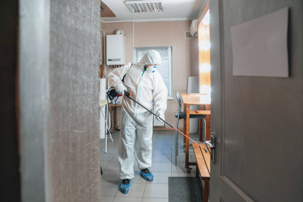 Best Mold Documentation for Insurance Claims  in Air Force Academy, CO