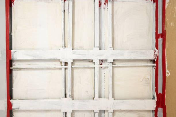 Best Attic Mold Removal  in Air Force Academy, CO