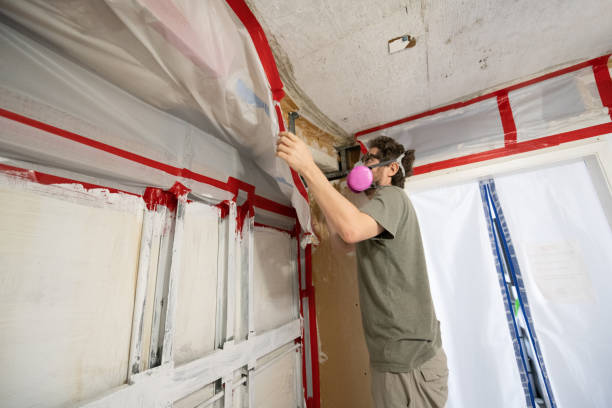 Best Dehumidification Services  in Air Force Academy, CO