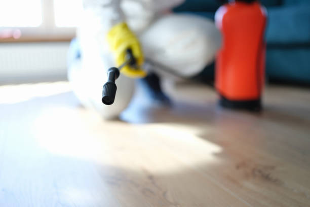 Best Forensic Mold Investigation  in Air Force Academy, CO